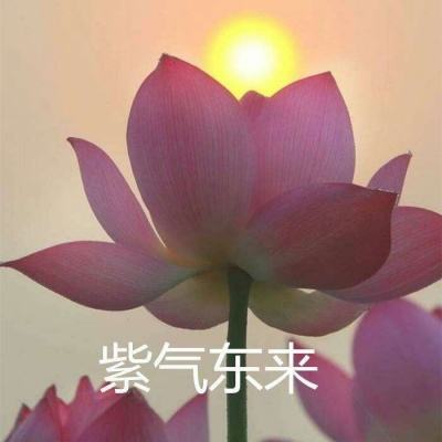 漂移中国最新版下载